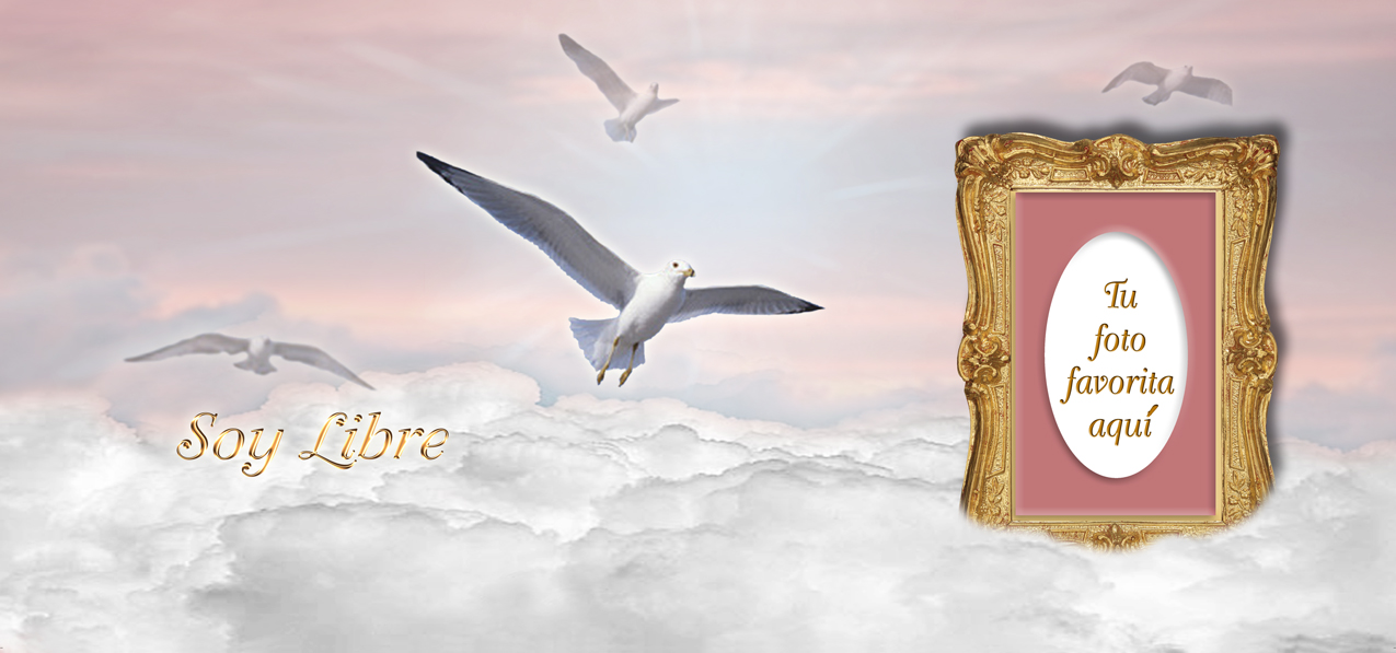 Soy Libre Pink Clouds